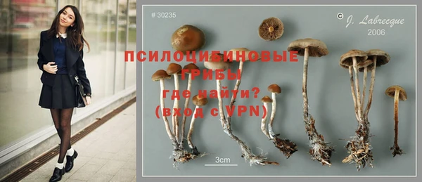 2c-b Баксан
