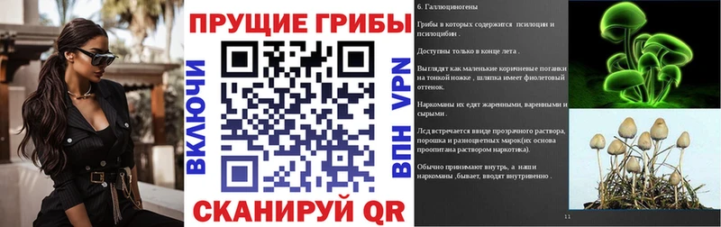 купить наркотик  даркнет официальный сайт  Псилоцибиновые грибы мухоморы  Власиха 