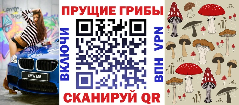 Псилоцибиновые грибы ЛСД Власиха